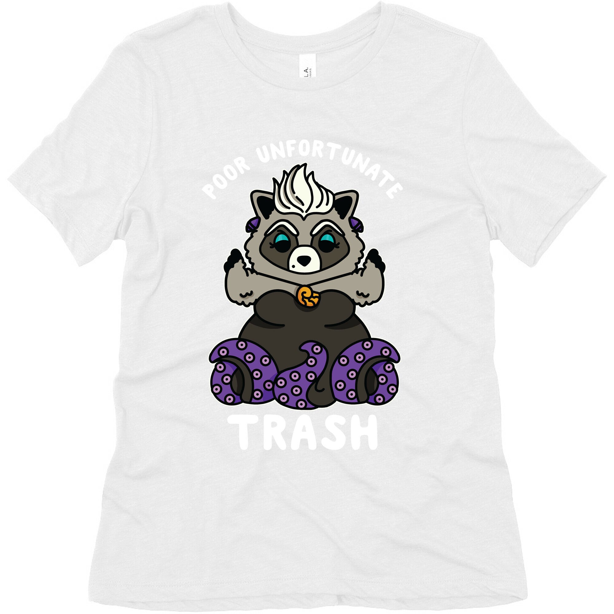 Poor Unfortunate Trash Raccoon  Women's Triblend Tee